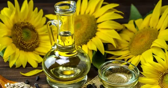 high oleic sunflower oil