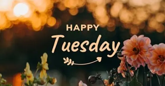 happy tuesday images